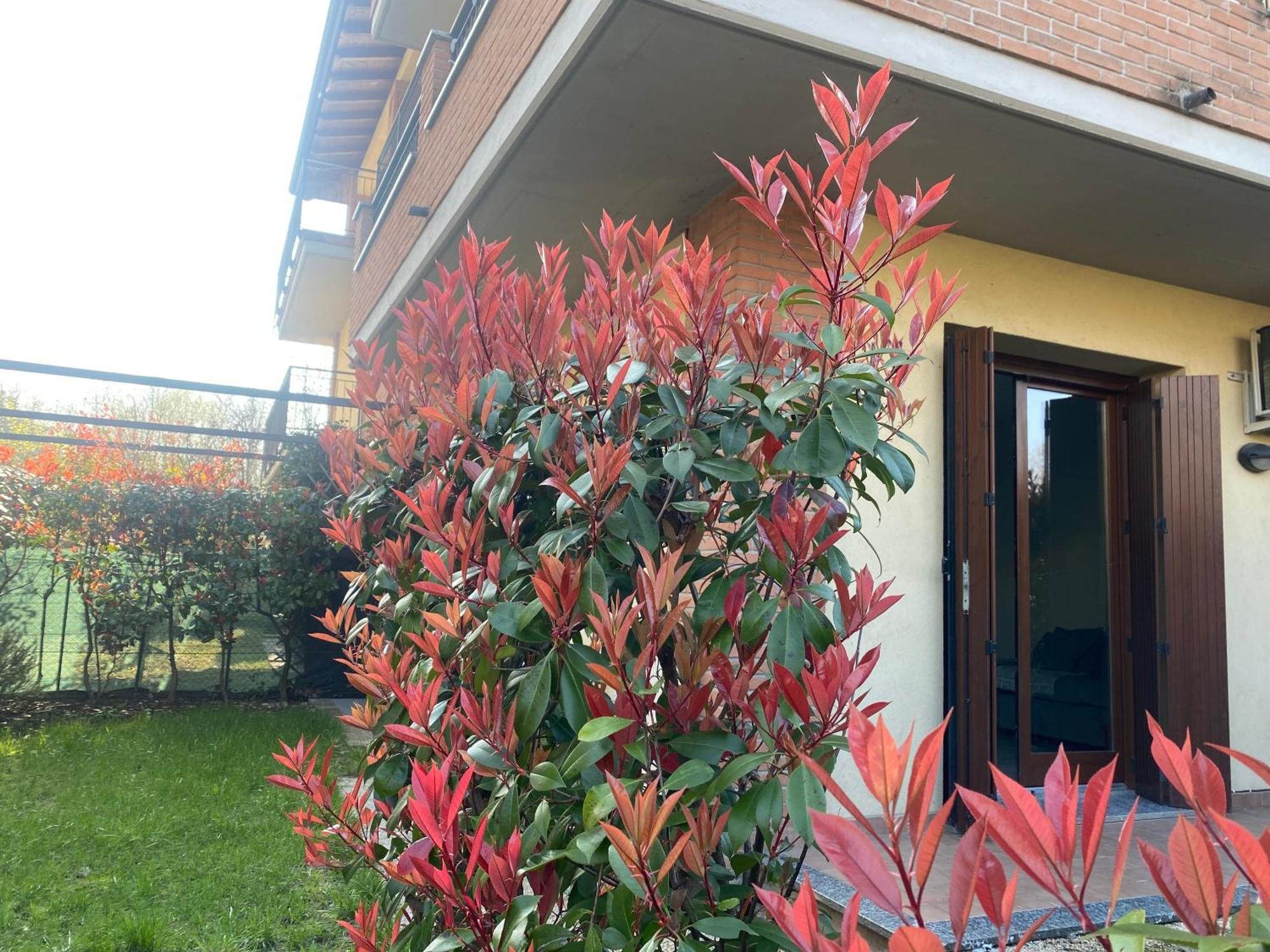 Camille Garden Home - Free Park Como Bagian luar foto